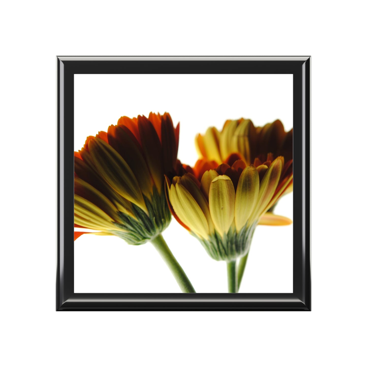 Daisy Undersides Jewelry Box