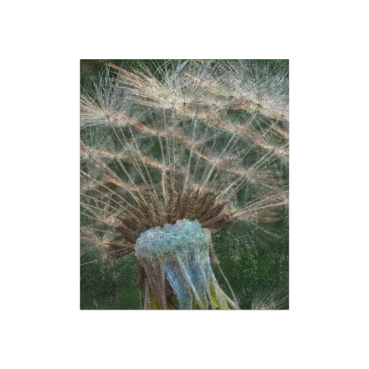 Dandelion Wish Crushed Velvet Blanket