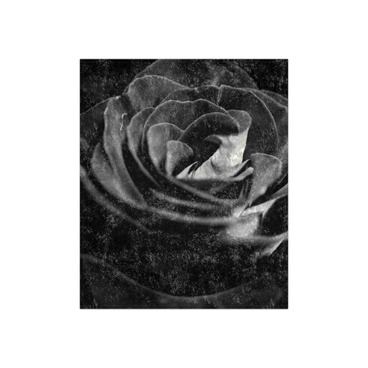 Dark Black and White Rose Crushed Velvet Blanket