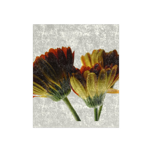 Daisy Undersides Crushed Velvet Blanket