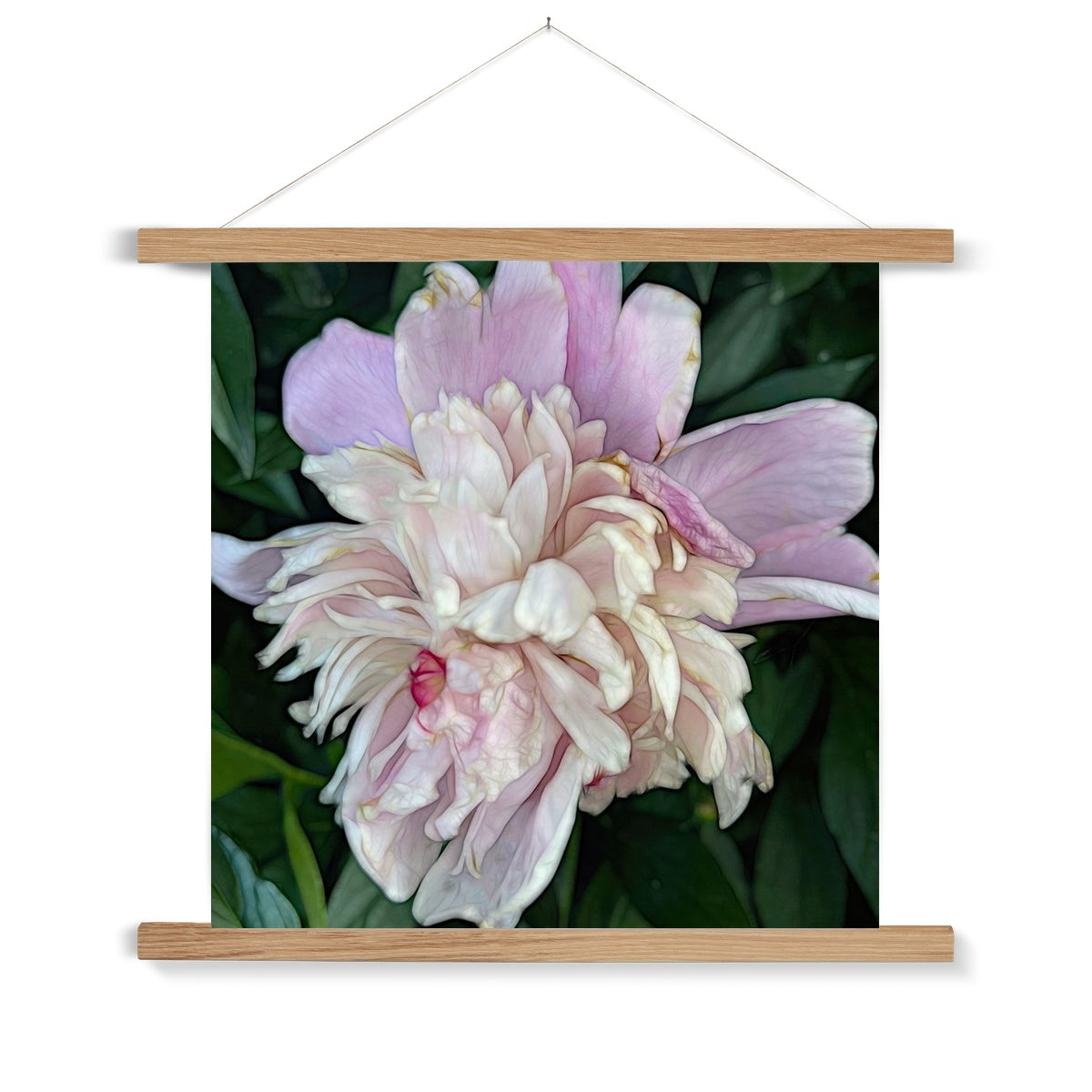 June Peony Fine Art Print with Hanger