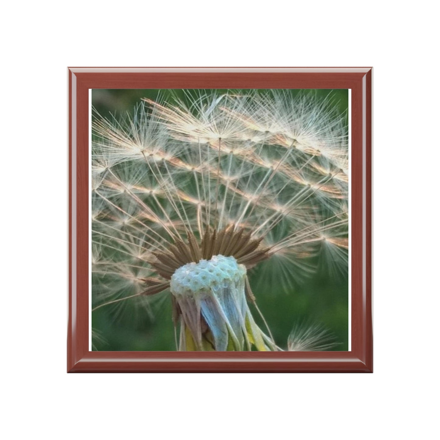 Dandelion Wish Jewelry Box