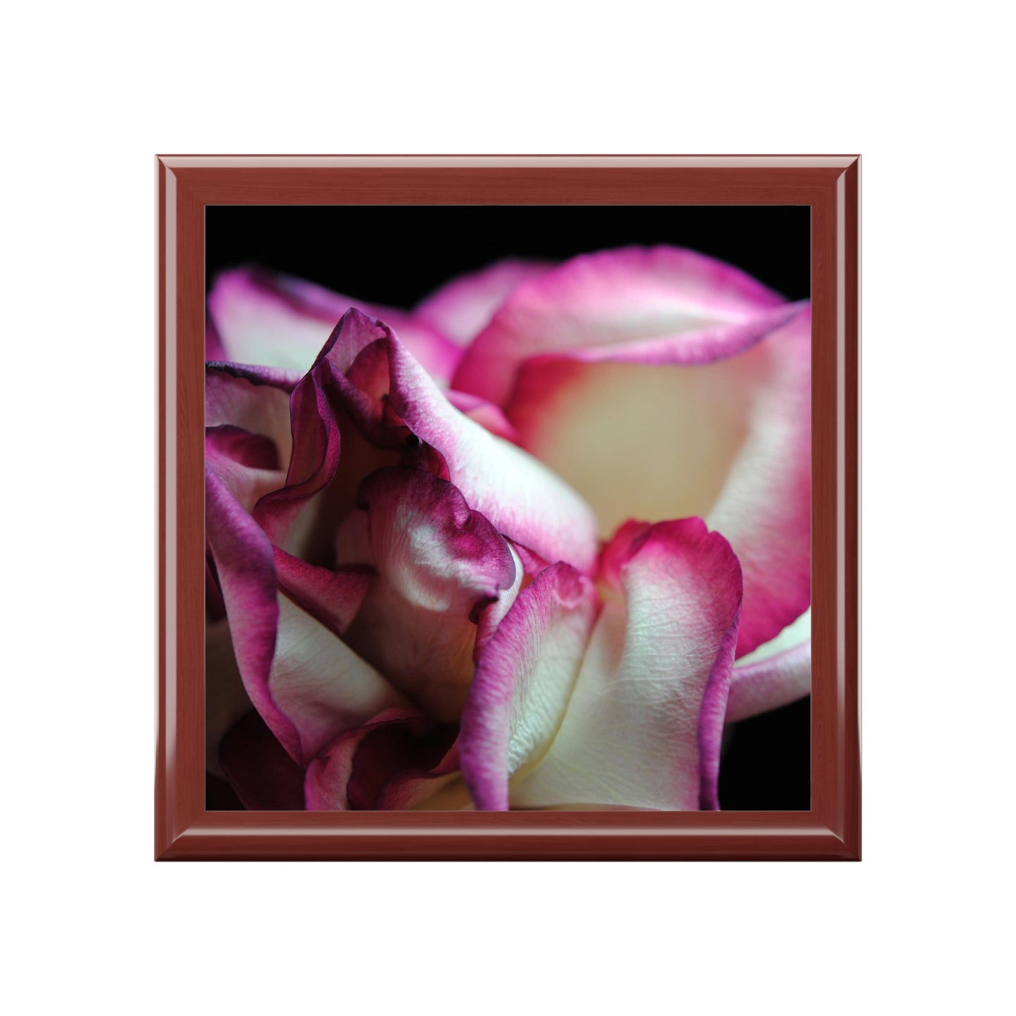 Pink Lined White Rose Jewelry Box