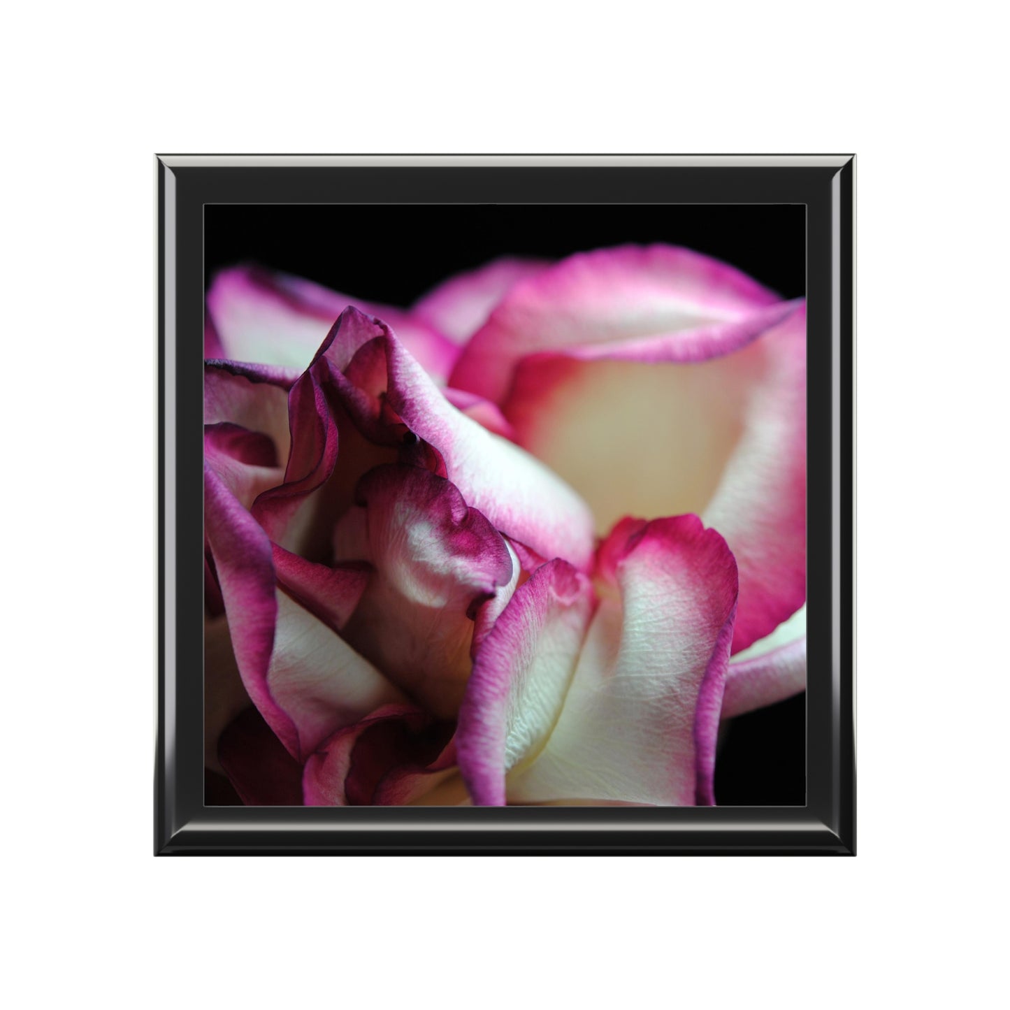 Pink Lined White Rose Jewelry Box