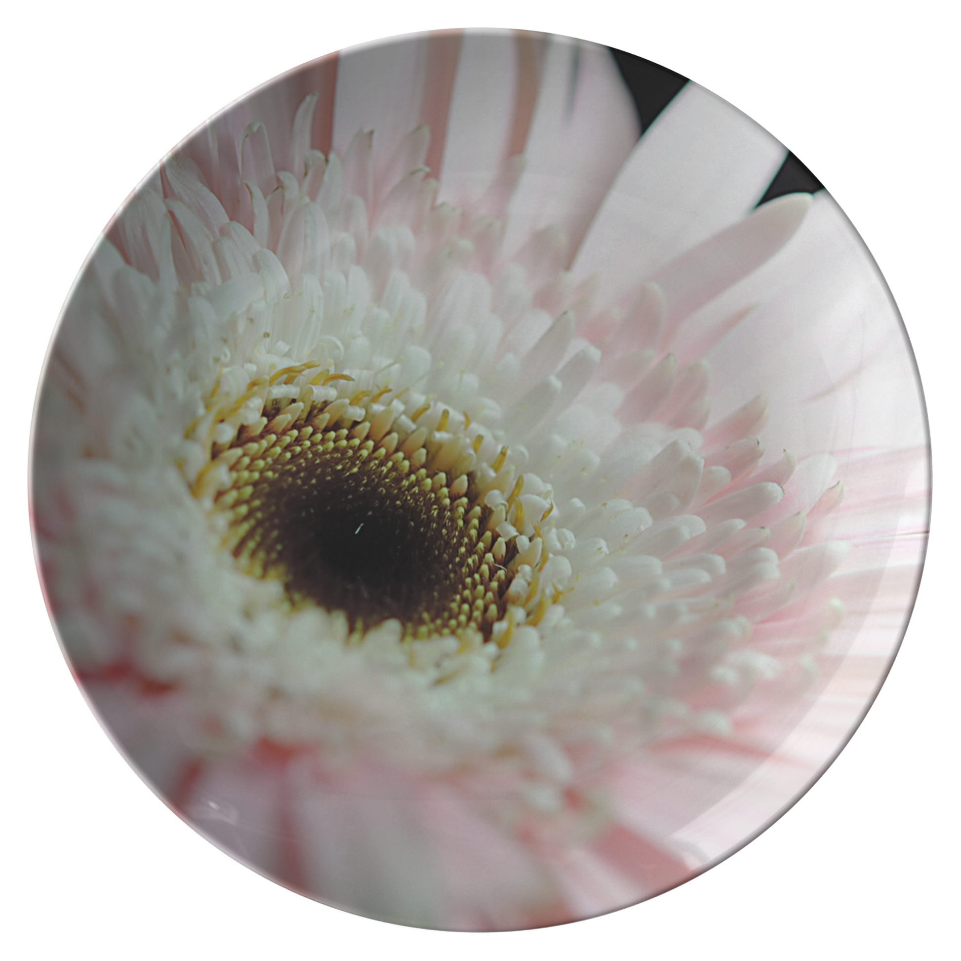 Pink_and_White_Daisy_Dinner_Plate_Flat_Mockup.png