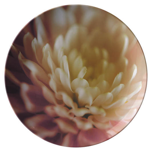 Pink_and_White_Flower_Dinner_Plate_Flat_Mockup.png