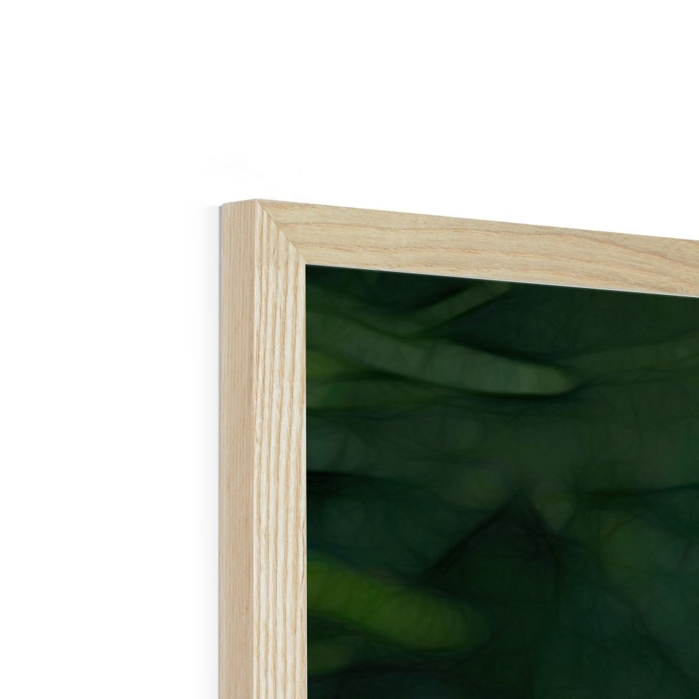 June Peony Framed Print