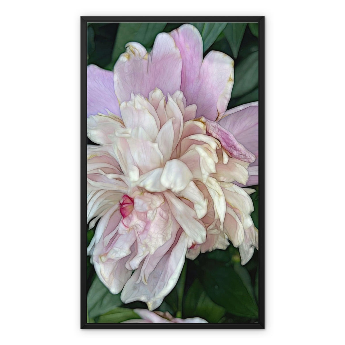 June Peony Framed Canvas