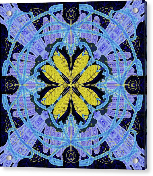 Blue and Yellow Leaf Mandala - Acrylic Print