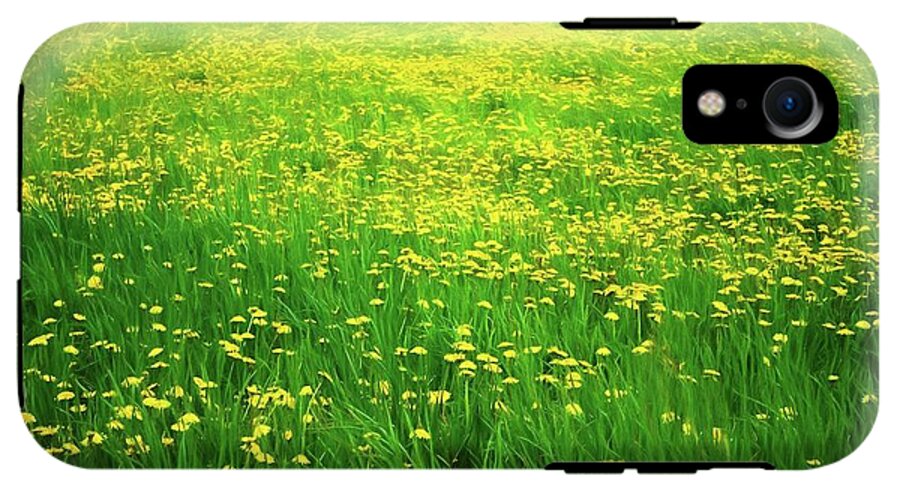 Dandelion Field - Phone Case