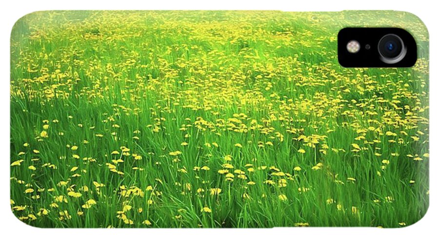 Dandelion Field - Phone Case