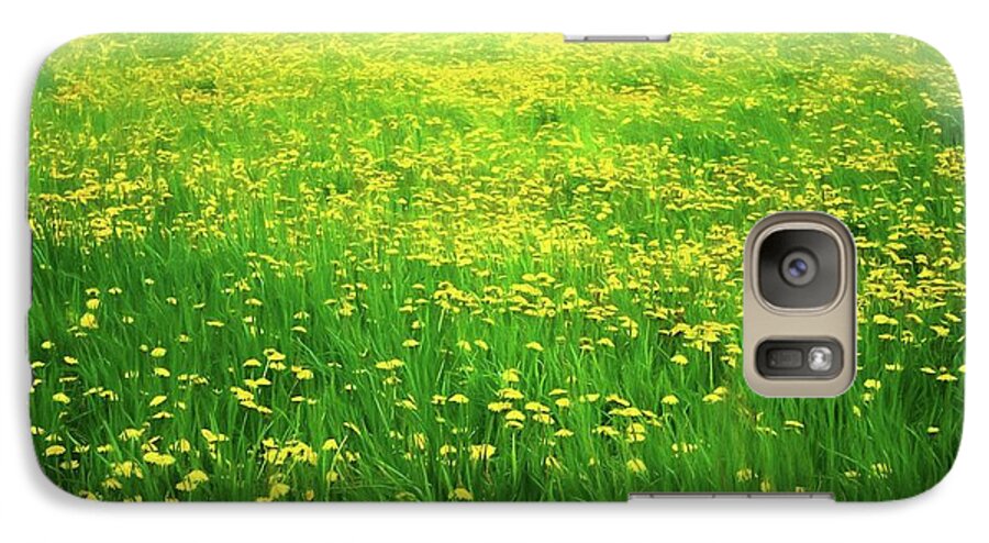 Dandelion Field - Phone Case
