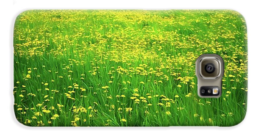 Dandelion Field - Phone Case