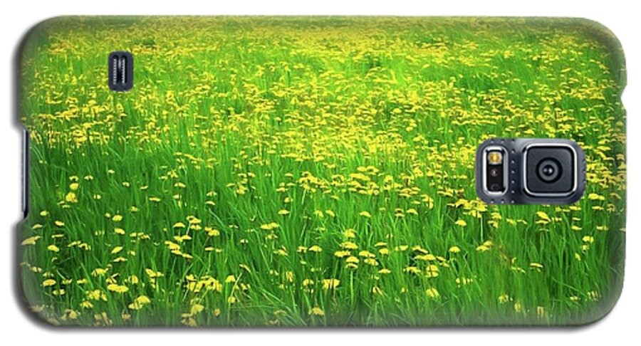 Dandelion Field - Phone Case