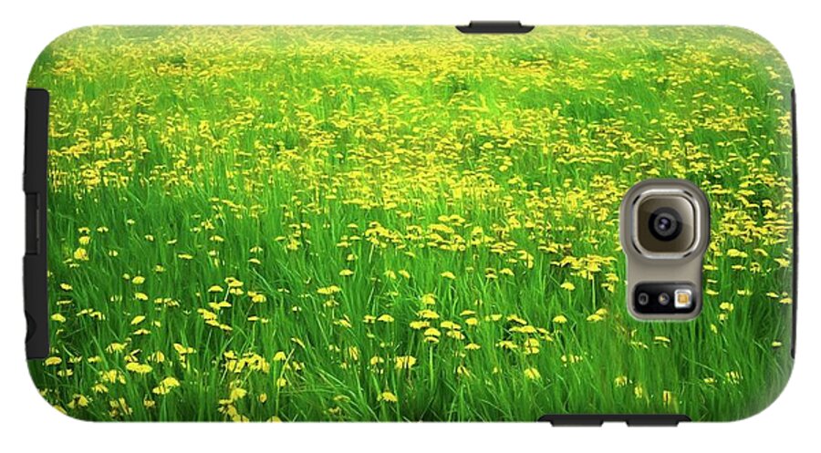 Dandelion Field - Phone Case