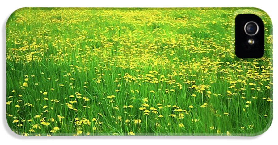 Dandelion Field - Phone Case