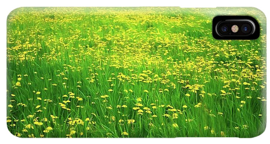 Dandelion Field - Phone Case