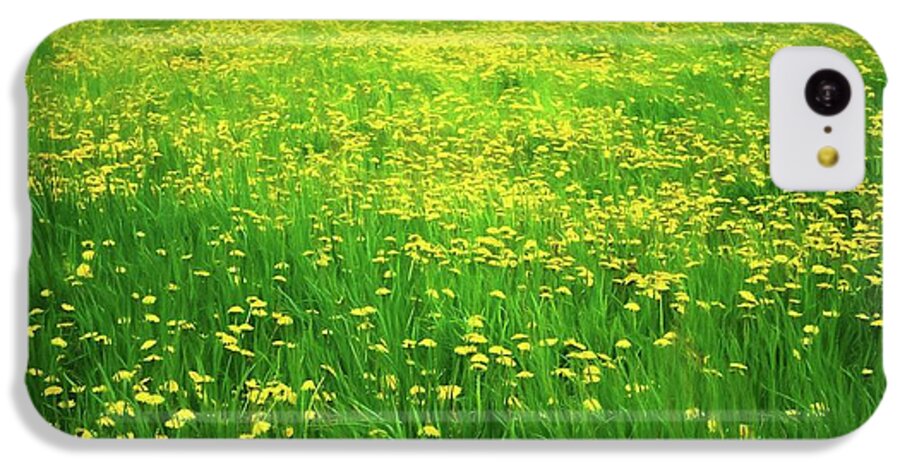 Dandelion Field - Phone Case