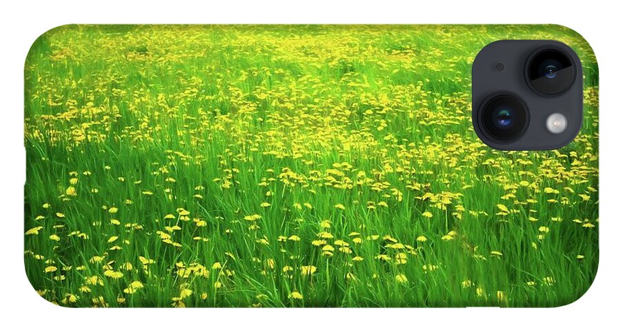 Dandelion Field - Phone Case
