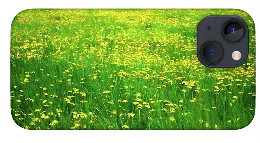Dandelion Field - Phone Case