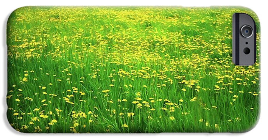 Dandelion Field - Phone Case