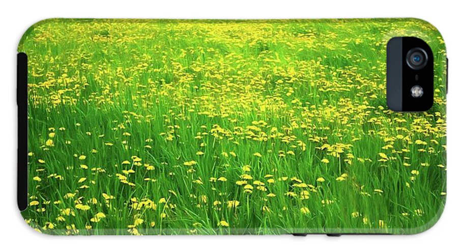 Dandelion Field - Phone Case