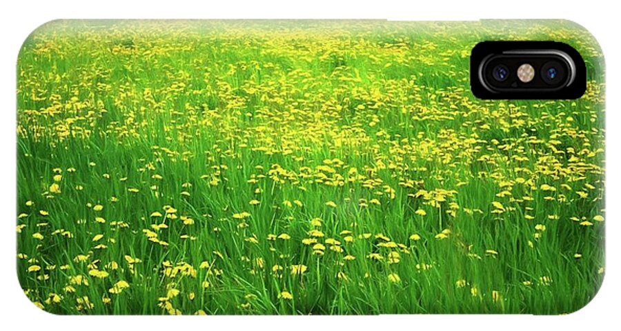 Dandelion Field - Phone Case
