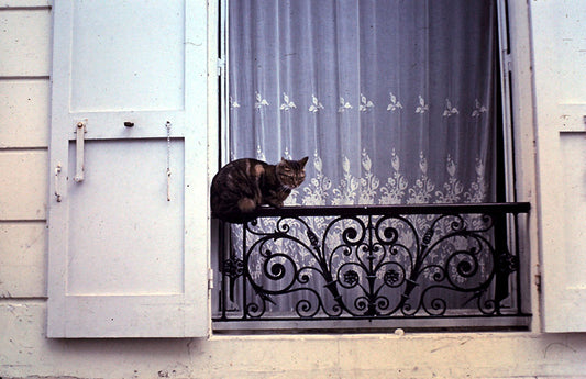 Europe 1967 No 46 Digital Image Download