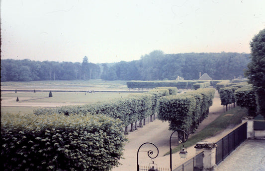 Europe 1968 No 55 Digital Image Download