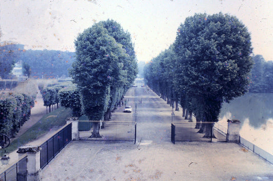 Europe 1968 No 6 Digital Image Download