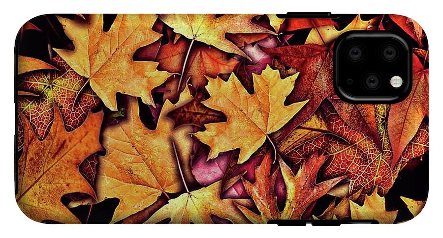 Fall Leaves Collage - Phone Case