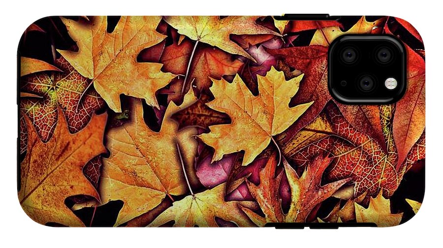 Fall Leaves Collage - Phone Case