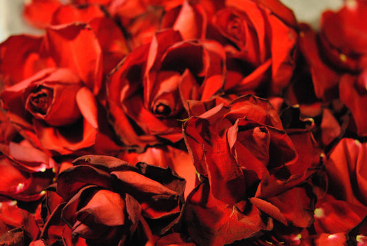 Raw Flowers 19 Digital Image Download