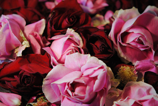 Raw Flowers 20 Digital Image Download