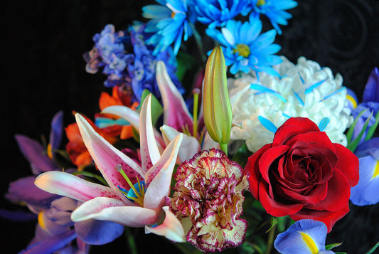 Raw Flowers 21 Digital Image Download