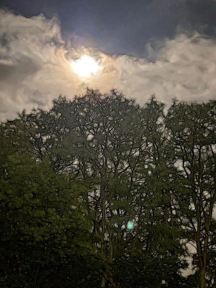 Harvest Moon Over Trees Digital Image Download