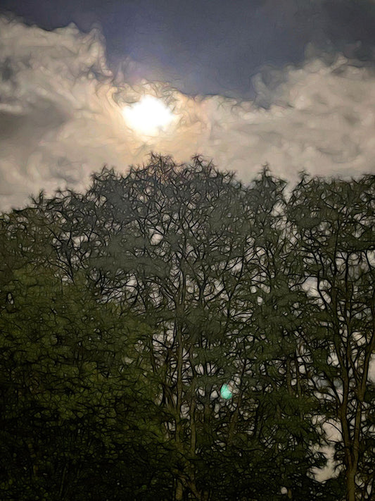 Harvest Moon Over Trees Digital Image Download