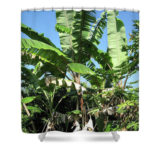 Hawaii No 2 - Shower Curtain