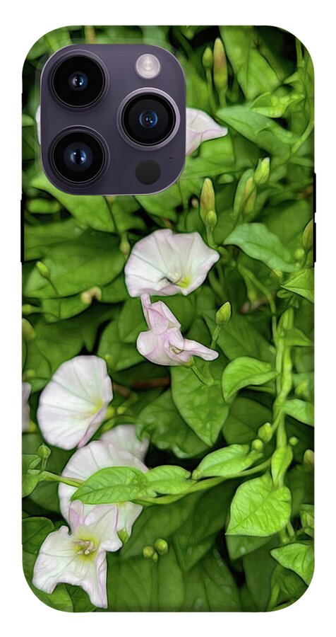 Morning Glories - Phone Case