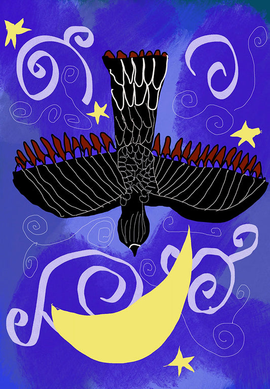 Night Hawk Digital Image Download