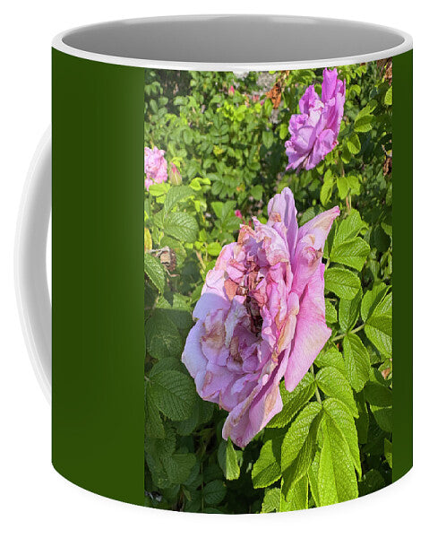 Nippersink Rose - Mug