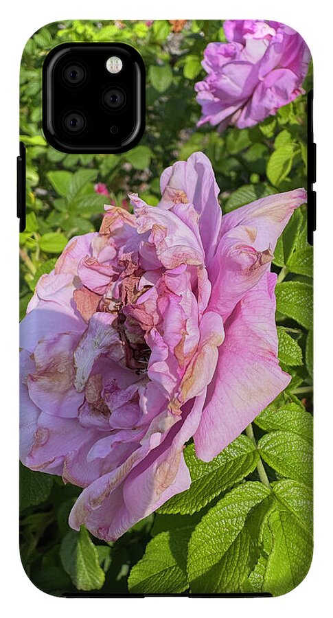 Nippersink Rose - Phone Case