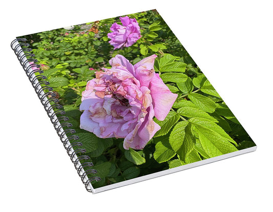 Nippersink Rose - Spiral Notebook