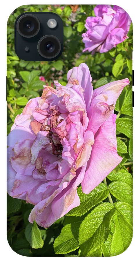 Nippersink Rose - Phone Case