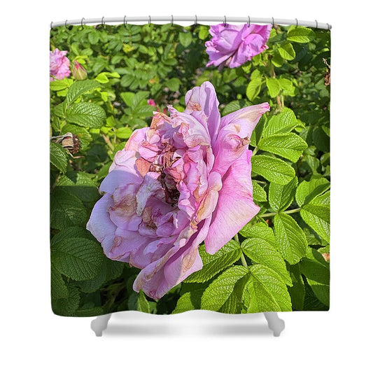Nippersink Rose - Shower Curtain