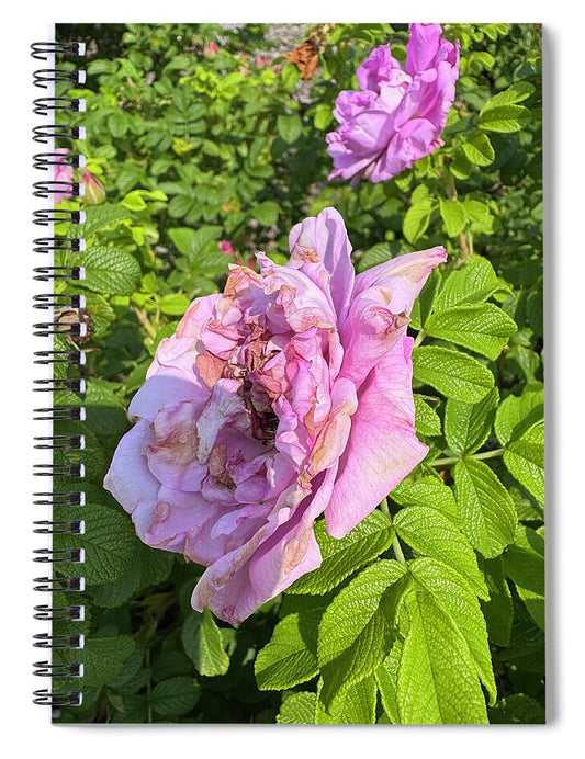 Nippersink Rose - Spiral Notebook