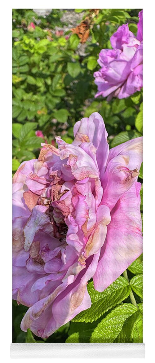Nippersink Rose - Yoga Mat