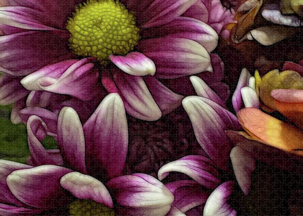 October Flowers 7 - Puzzle