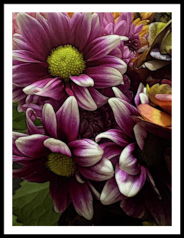 October Flowers 7 - Framed Print