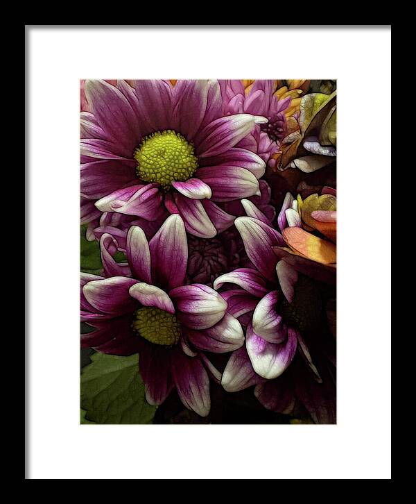 October Flowers 7 - Framed Print